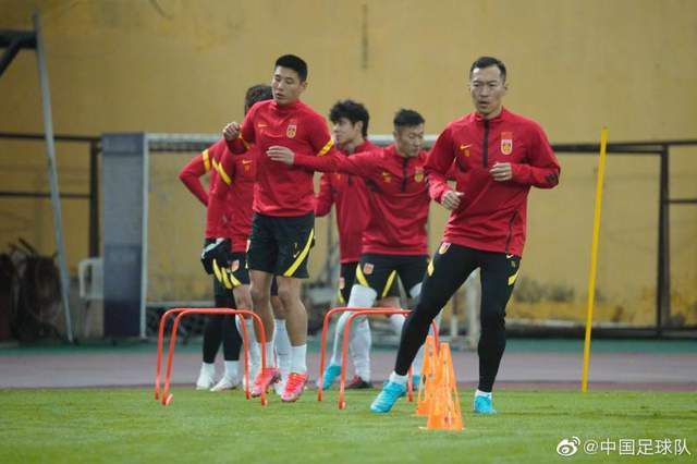 阿拉斯加北极熊2020