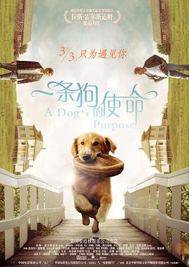 笔记本怎么开启独显直连